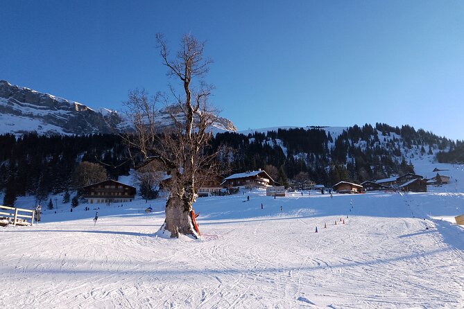 Fully organized Ski Experience for Private Groups - Who will enjoy this experience most