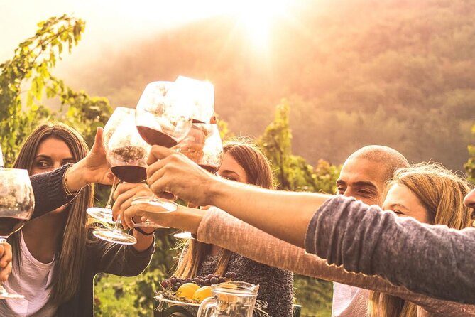 Geneva Countryside By E-Bike With Wine Tasting - Key points to know before booking