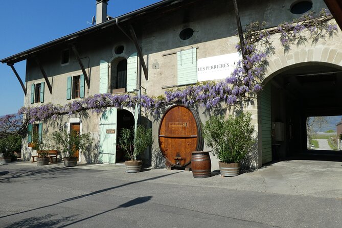 Geneva Countryside By E-Bike With Wine Tasting - Who will enjoy this Geneva countryside ride