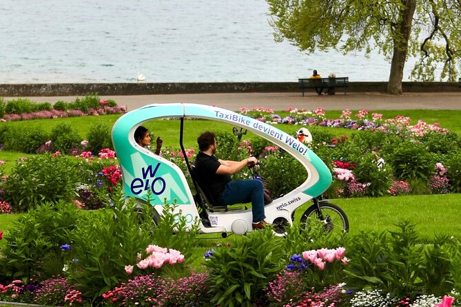 Geneva Highlights Tour by TaxiBike - Reformation Wall and Parc des Bastions