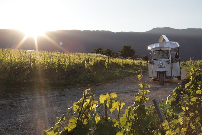 Geneva Panoramic & Tasting Vineyards Tour in an Tuk Tuk - Key points to know before you book