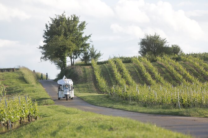 Geneva Panoramic & Tasting Vineyards Tour in an Tuk Tuk - What happens at the rural winery
