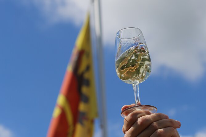 Geneva Panoramic & Tasting Vineyards Tour in an Tuk Tuk - Who will enjoy this most?