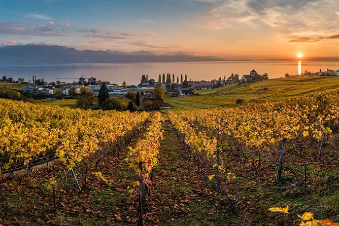 Geneva to Lausanne, Montreux and Château Chillon Private Tour - Vevey and the lakefront towns
