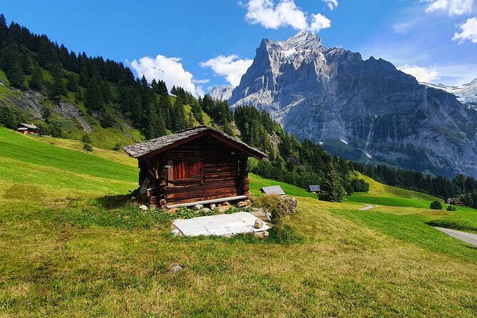 Grindelwald First (Top of Adventure) Ticket incl. Cliff Walk - Eating at Bergrestaurant First