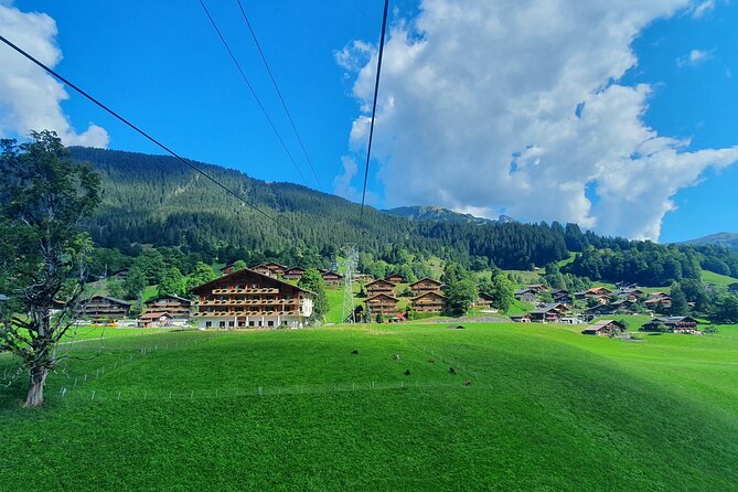 Grindelwald First (Top of Adventure) Ticket incl. Cliff Walk - What you can do beyond the Cliff Walk