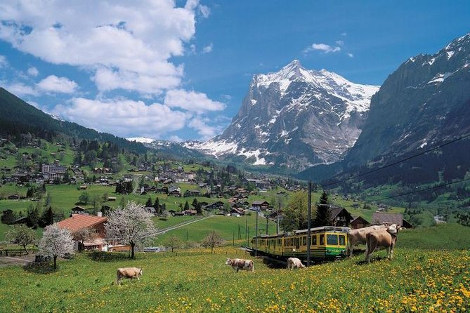 Grindelwald, Interlaken and Lauterbrunnen Day Trip from Lucerne - The coach ride into the Bernese Oberland