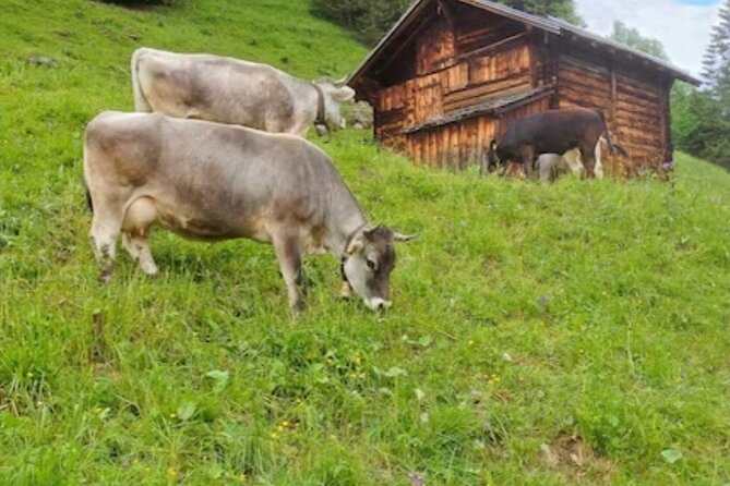 Grindelwald, Lauterbrunnen Lungern Interlaken Semi-Private - Is $292.46 a fair price?