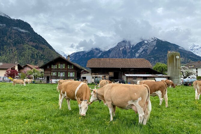 Grindelwald, Lauterbrunnen & Mürren Private Day Trip from Zurich - Mürren gives you the postcard views