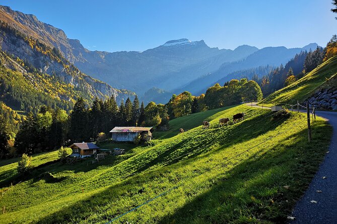 Guided Excursion to Jungfraujoch, Grindelwald and Lauterbrunnen from Lucerne - Grindelwald is a gateway, not a full stop