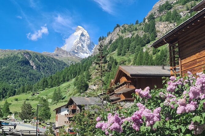 Guided Hiking Half Day in Zermatt - Village paths, Edelweiss, and local advice