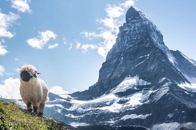Guided Hiking Half Day in Zermatt - Gornergrat and the Gorner Glacier