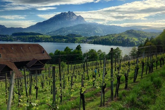 Half-Day Lake Lucerne Country Walk - Leaving Lucerne for the countryside