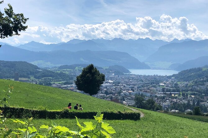 Half-Day Lake Lucerne Country Walk - The value of a private English-speaking guide