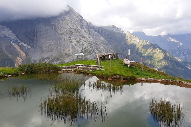 Heart of the Alps Private Hiking Tour from Lucerne - The forest descent and return to Engelberg