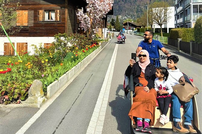 Hidden gems e-bike tour with picnic at Lake Brienz - Timing, weather, and cancellation details