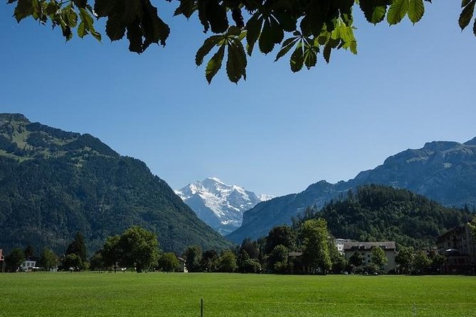 Interlaken 3-hours Private Walking Tour & Mt. Harder Excursion - Höhematte Park and the paragliders