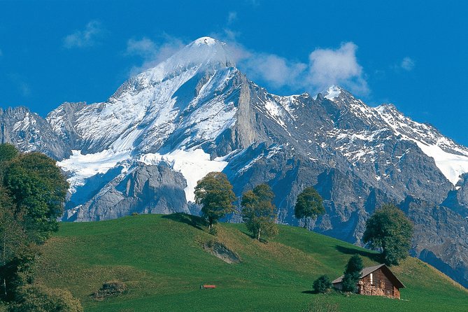Interlaken and Grindelwald Day Trip from Lucerne - What kind of day trip is this?