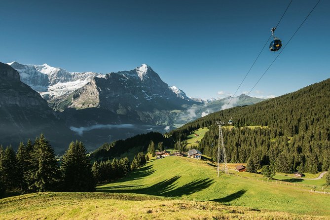 Interlaken and Grindelwald Day Trip from Lucerne - The Jungfraujoch connection can change the feel