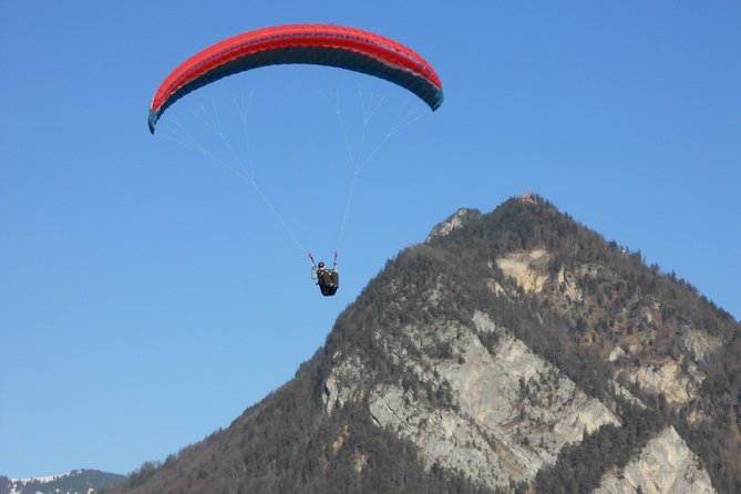 Interlaken Private Tour: Mountains Cows, Thun Lake, and Brienz Lake - Who will enjoy this three-hour outing?