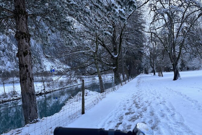 Interlaken Valley Winter E-Bike Tour: Rivers, Lakes & Castles - Bönigen offers a glimpse of lakeside village life