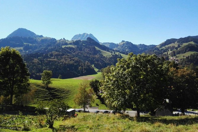(KTL352) - Gruyeres Day Trip with Chocolate Factory from Lausanne - La Maison du Gruyère and the limits of the cheese stop
