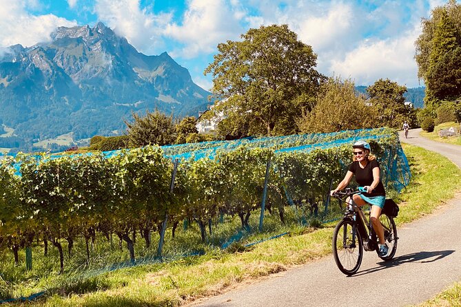Lake Lucerne Peninsula e-Bike Tour - From Lucerne station to the lake
