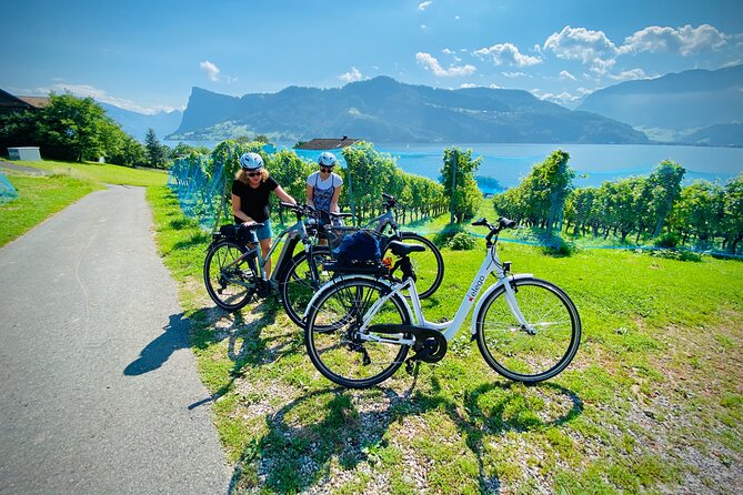 Lake Lucerne Peninsula e-Bike Tour - What the guide adds to the ride