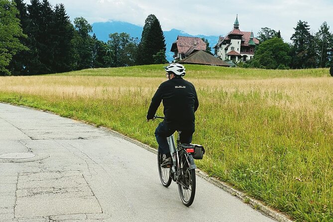 Lake Lucerne Peninsula e-Bike Tour - Why two hours can be the right length