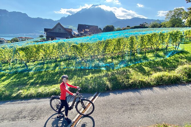 Lake Lucerne Peninsula e-Bike Tour - Weather, clothing, and family details