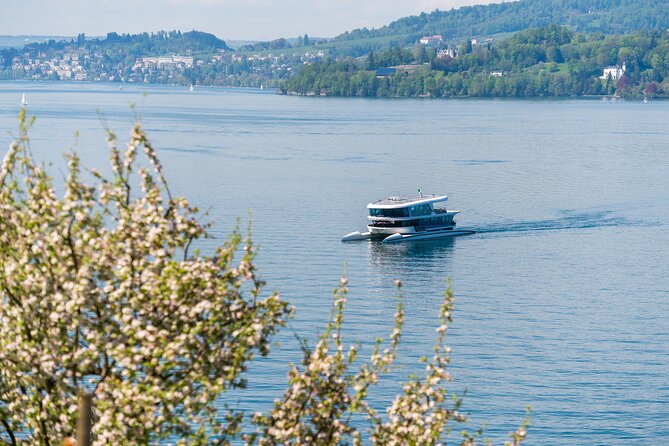 Mount Bürgenstock Independent Tour from Lucerne - A self-guided outing needs a little attention