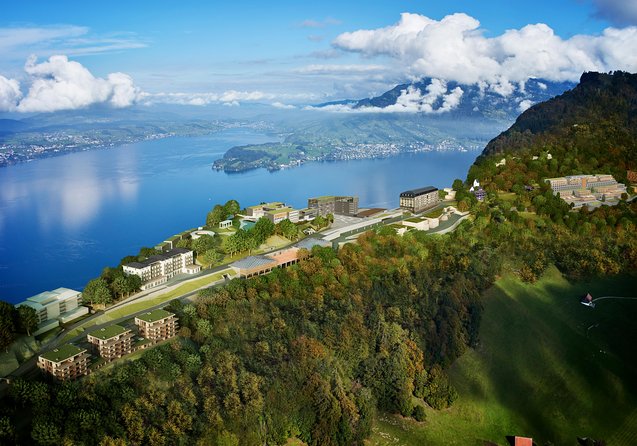 Mount Bürgenstock Independent Tour from Lucerne - Who will enjoy this best?