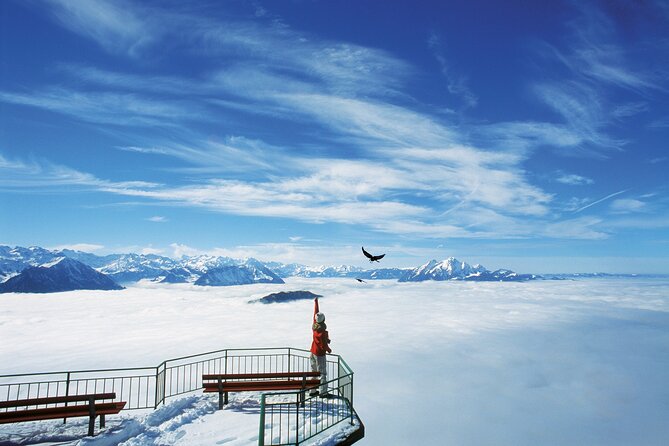 Mount Rigi Day Ticket - Booking, timing, and cancellation details