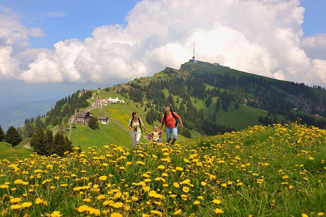 Mount Rigi Day Trip from Lucerne - Returning across the lake