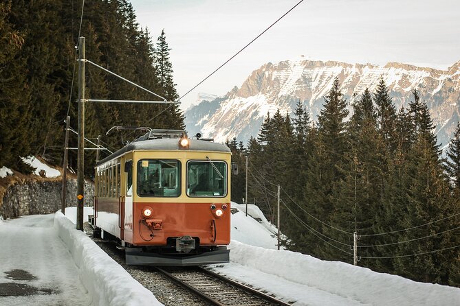 Mountain Majesty: Small Group Tour to Lauterbrunnen and Mürren - Grütschalp to Mürren by narrow-gauge railway