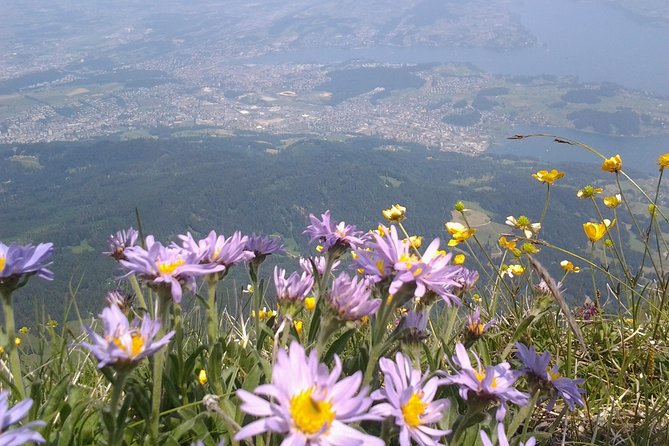 Mt. Pilatus Golden Roundtrip Private Day Trip from Basel - The steep climb to Pilatus Kulm