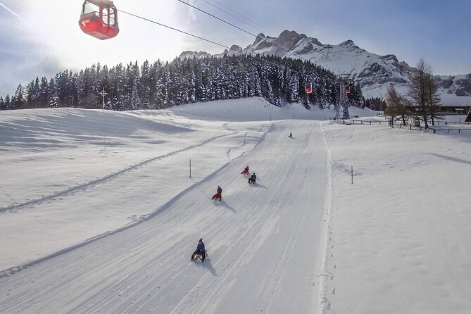 Mt. Pilatus Gondola and Aerial Cableway Ticket from Kriens - Is the $83.60 ticket good value?