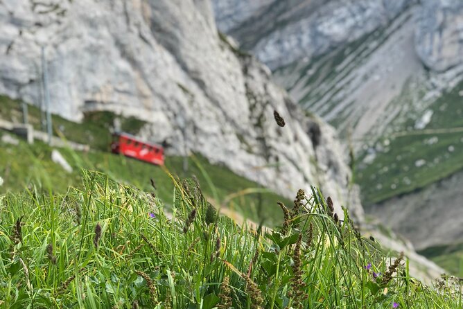 Mt. Pilatus with Lake of Lucerne Cruise Private Tour from Lucerne - Lake Lucerne gives you the second great view of Pilatus
