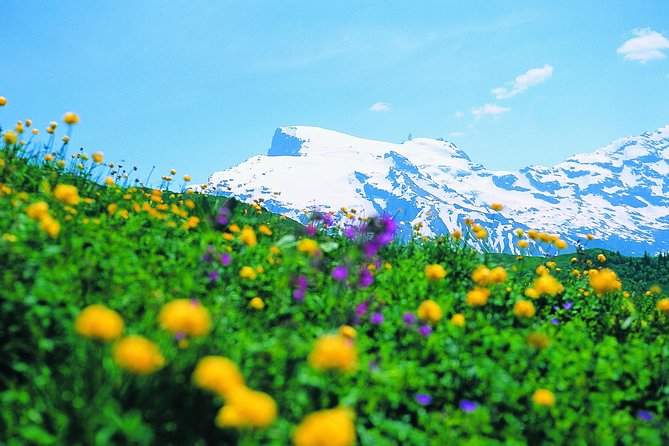 Mt Titlis Glacier Paradise Tour from Zurich With Lucerne - Two hours at Mt Titlis