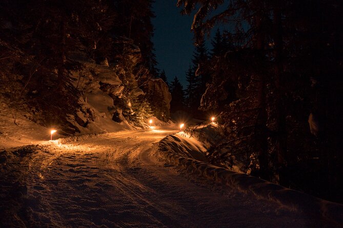 Night Sledding from Interlaken - Speed, curves, and the real safety question