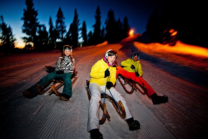 Night Sledding with Fondue - Meeting at 6 pm in Wilderswil