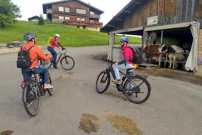 Panoramic E-Bike Tour with a Lake Cruise - Booking details that matter