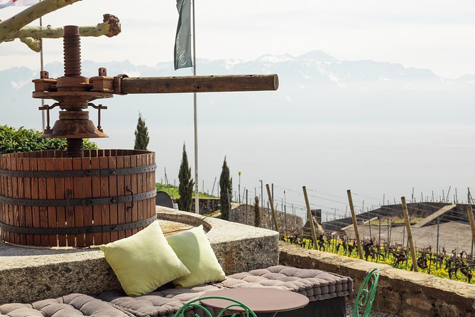 Panoramic Wine Tour From Lausanne - Who will enjoy this outing most