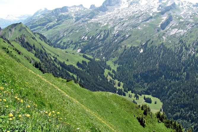 Peak to Peak Private Hiking Tour from Lucerne - Chairlift, bus, and train back to Lucerne