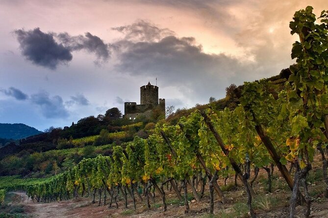 Pinot Noir & Pinot Wine Tour to Baden-Württemberg - Lunch in Ihringen, with the bill separate