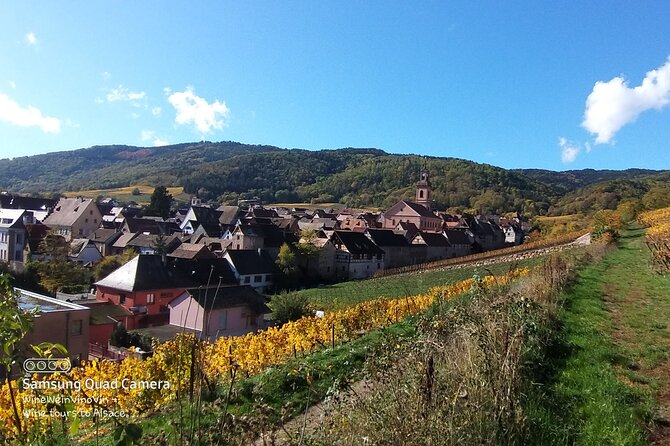 Pinot Noir & Pinot Wine Tour to Baden-Württemberg - What the $379.80 price really covers
