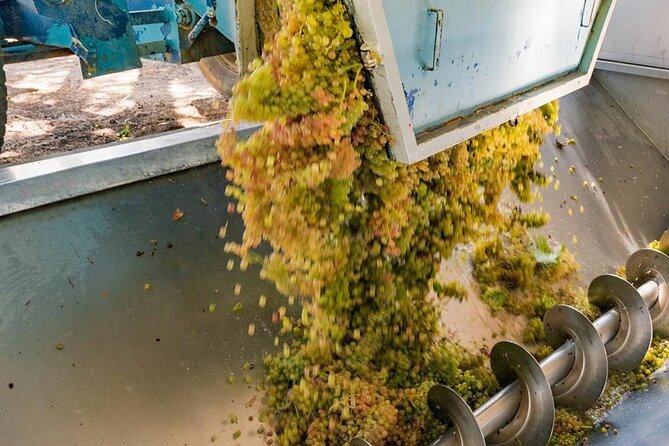 Pinot Noir & Pinot Wine Tour to Baden-Württemberg - Kaiserstuhl, volcanic hills and warm vineyards