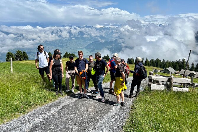 Private Guided Hike on Mt. Rigi with Farm Visit and BBQ - The farm visit and the cow-filled mountain pastures