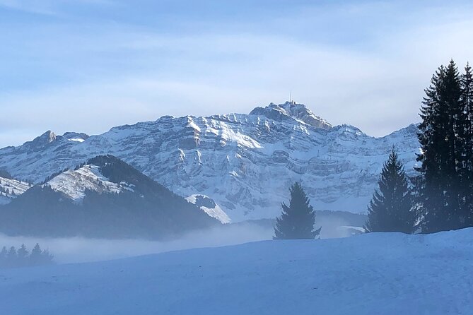 Private Guided Swiss Alps Day Trip from Zurich with Hotel Pick-Up - Who will enjoy this day most