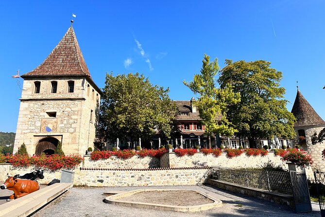 Private Half-Day Tour to the Rhine Falls with Pick-up at Hotel - The Rhine Falls viewpoints and panorama lift